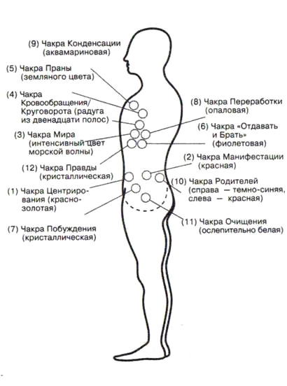 Дополнительные чакры человека